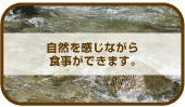 自然を感じながら食事ができます。