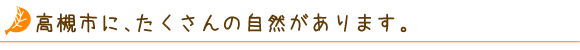 高槻市に、たくさんの自然があります。